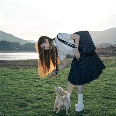 万紫千红花弄蝶